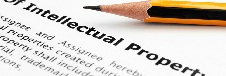 Seminar : Intellectual Property Law