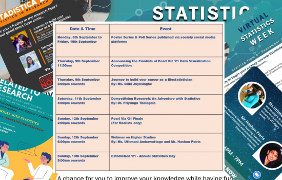 Estadistica ‘21 – Annual Statistics Day