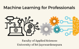 Machine Learning for Professionals