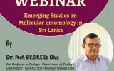Emerging studies on Molecular Entomology in Sri Lanka