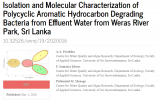 solation and Molecular Characterization of Polycyclic Aromatic Hydrocarbon Degrading Bacteria from Effluent Water from Weras River Park, Sri Lanka