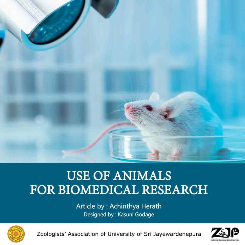 Use of animals for biomedical research – ZSJP