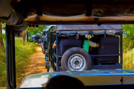 20292594_10207307639368098_6153688499405740259_n