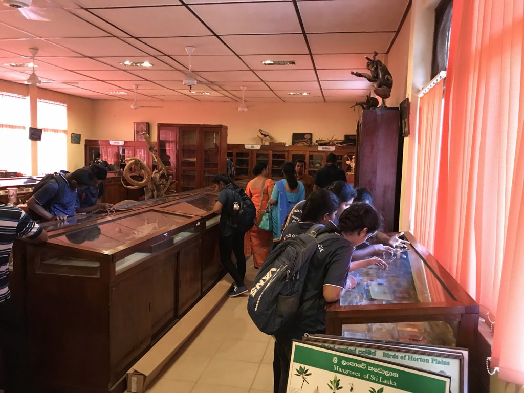 Tissa central college visit the Zoology museum