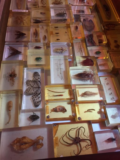 336048776_596530402383045_691206023091995369_n