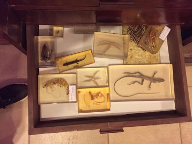 336356156_1194818321405095_208213643784054769_n