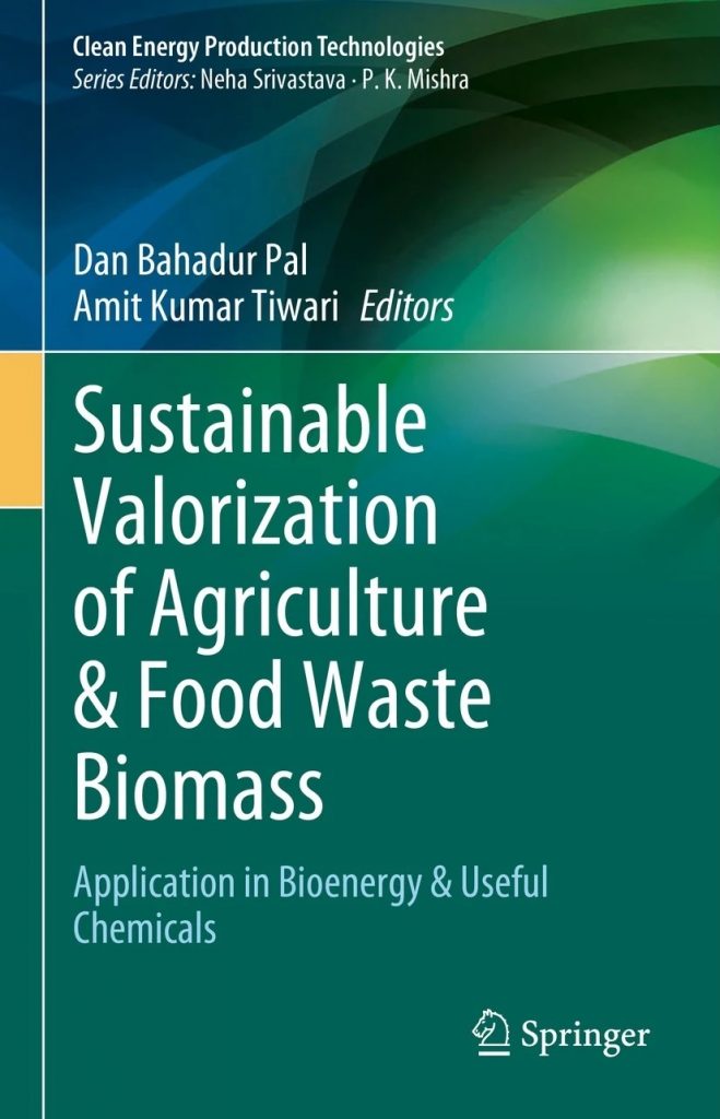 Waste Biomass Valorization and Its Application in the Environment ...